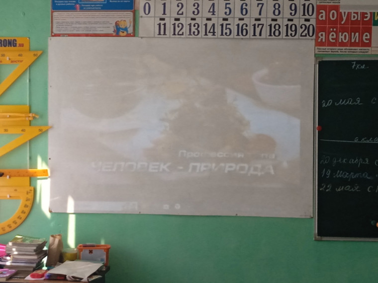 МИР ПРОФЕССИЙ.